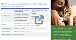 Pet Health brochure