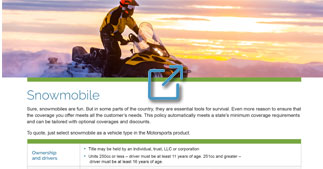 Snowmobile program overview